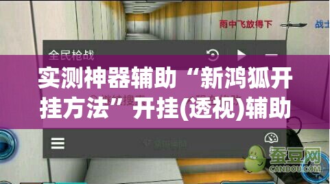 实测神器辅助“新鸿狐开挂方法”开挂(透视)辅助教程