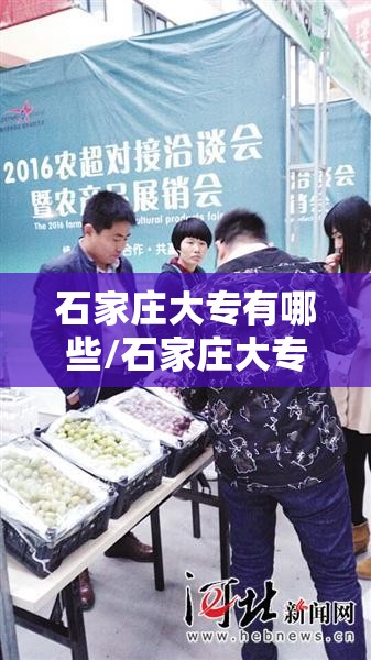 石家庄大专有哪些/石家庄大专有哪几所学校?