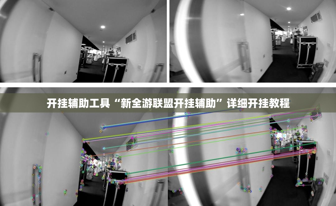 开挂辅助工具“新全游联盟开挂辅助”详细开挂教程