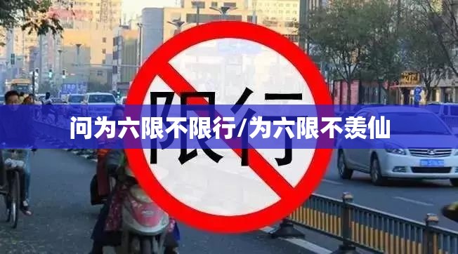问为六限不限行/为六限不羡仙
