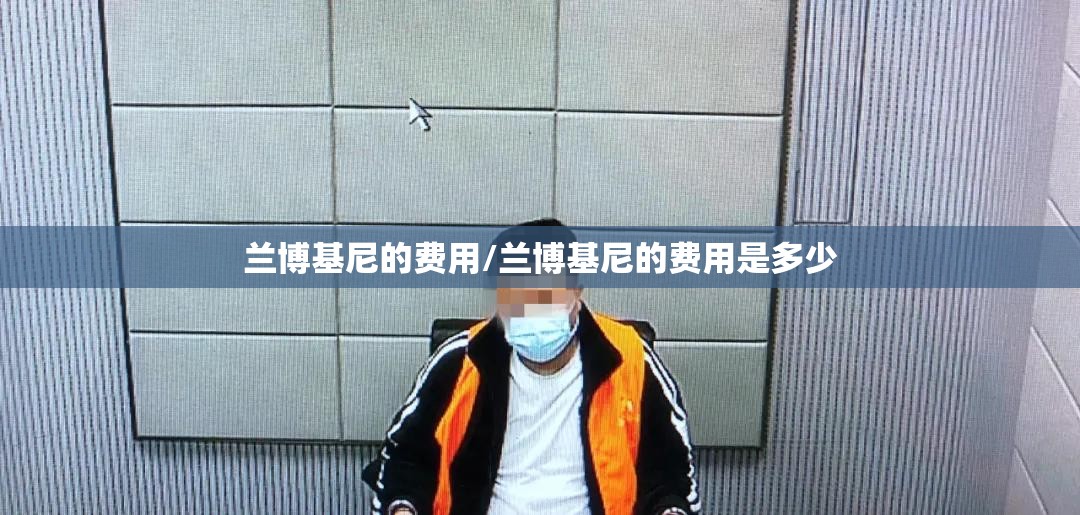 兰博基尼的费用/兰博基尼的费用是多少