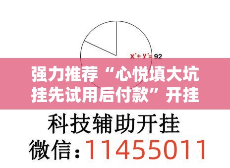 强力推荐“心悦填大坑挂先试用后付款”开挂辅助脚本+详细开挂安装教程