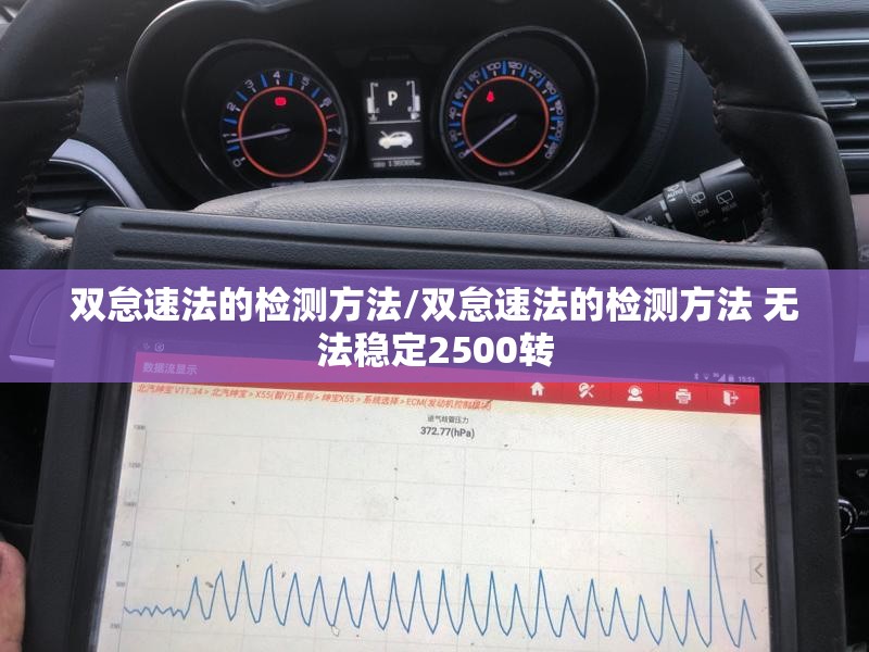 双怠速法的检测方法/双怠速法的检测方法 无法稳定2500转