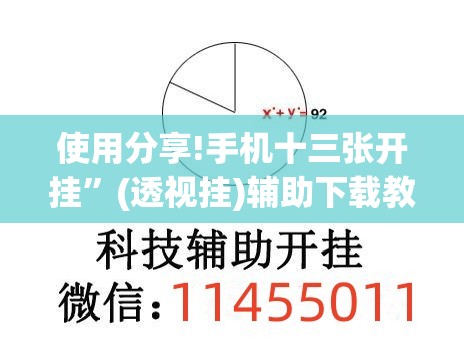 使用分享!手机十三张开挂	”(透视挂)辅助下载教程