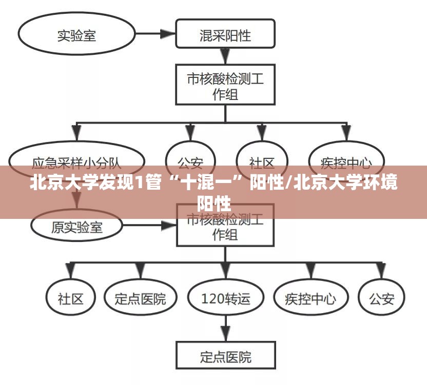 北京大学发现1管“十混一”阳性/北京大学环境阳性