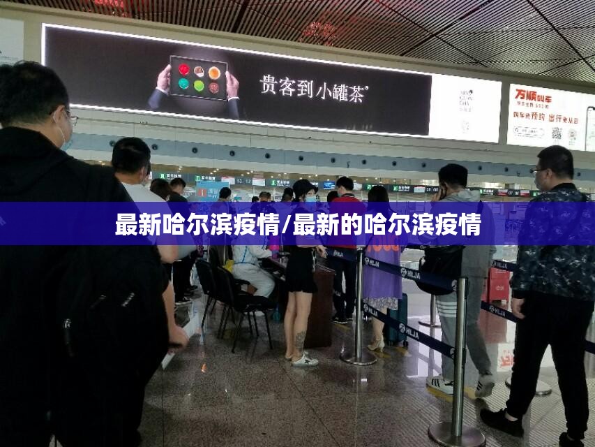 最新哈尔滨疫情/最新的哈尔滨疫情