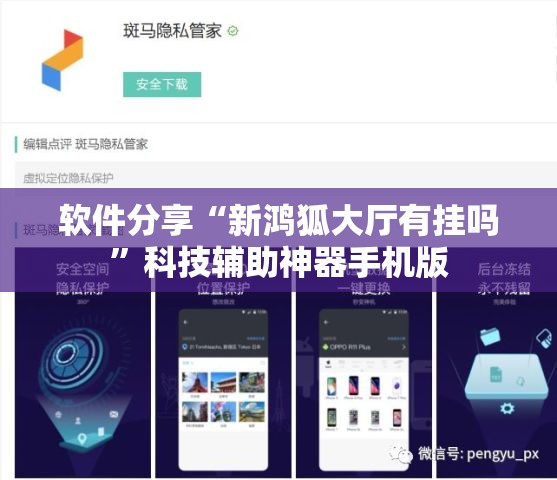 软件分享“新鸿狐大厅有挂吗”科技辅助神器手机版