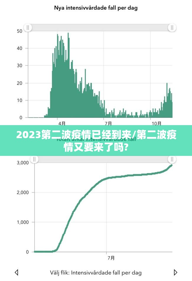 2023第二波疫情已经到来/第二波疫情又要来了吗?