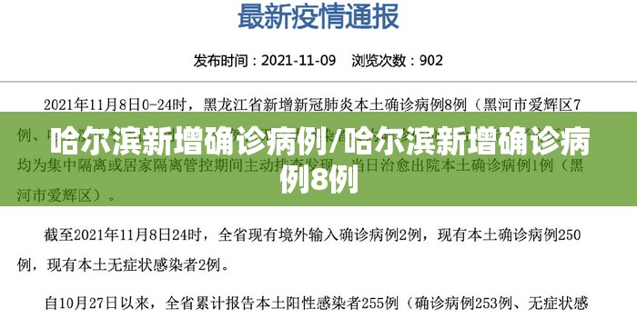 哈尔滨新增确诊病例/哈尔滨新增确诊病例8例