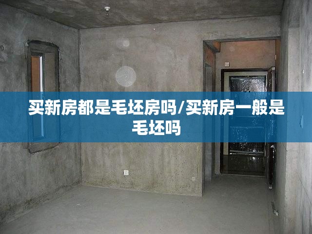 买新房都是毛坯房吗/买新房一般是毛坯吗 买新房都是毛坯房吗/买新房一般是毛坯吗