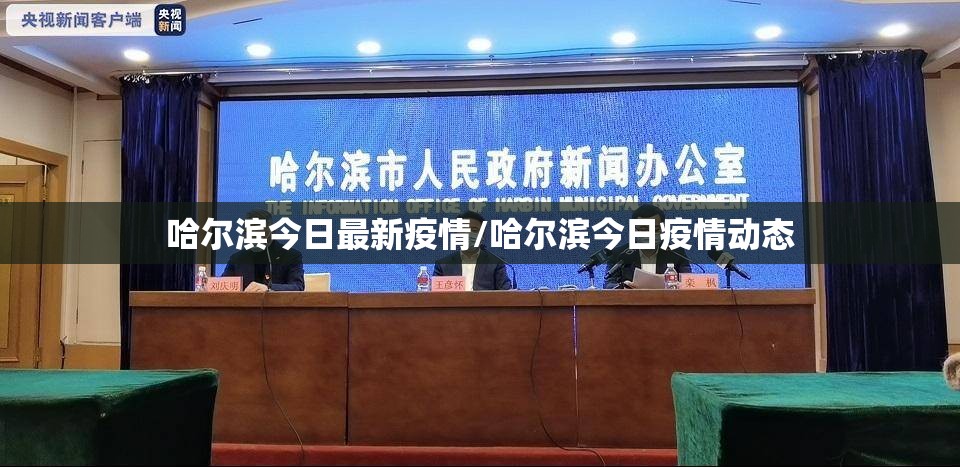 哈尔滨今日最新疫情/哈尔滨今日疫情动态