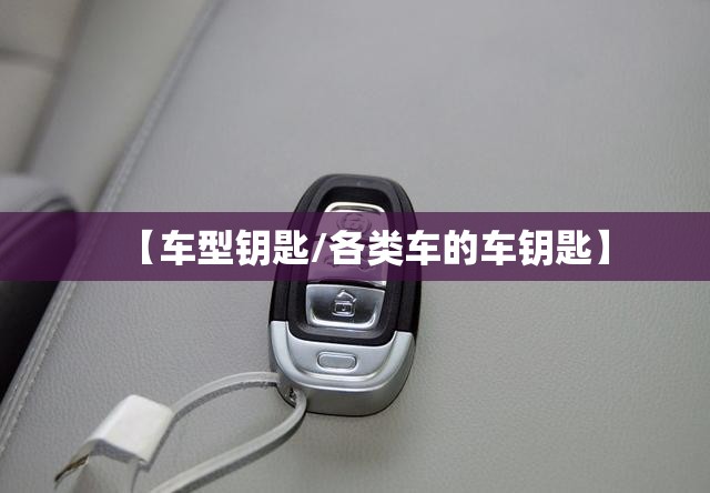 【车型钥匙/各类车的车钥匙】