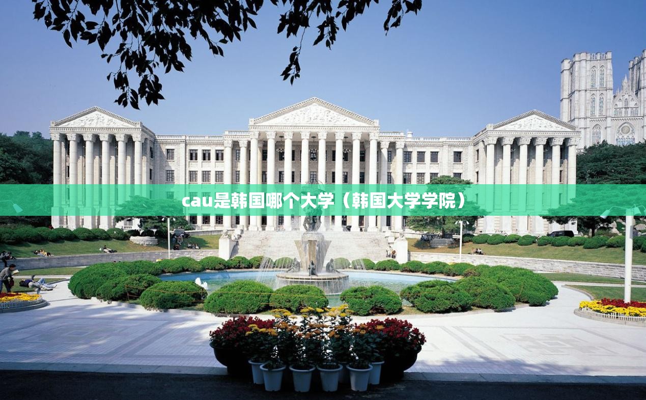 cau是韩国哪个大学（韩国大学学院）