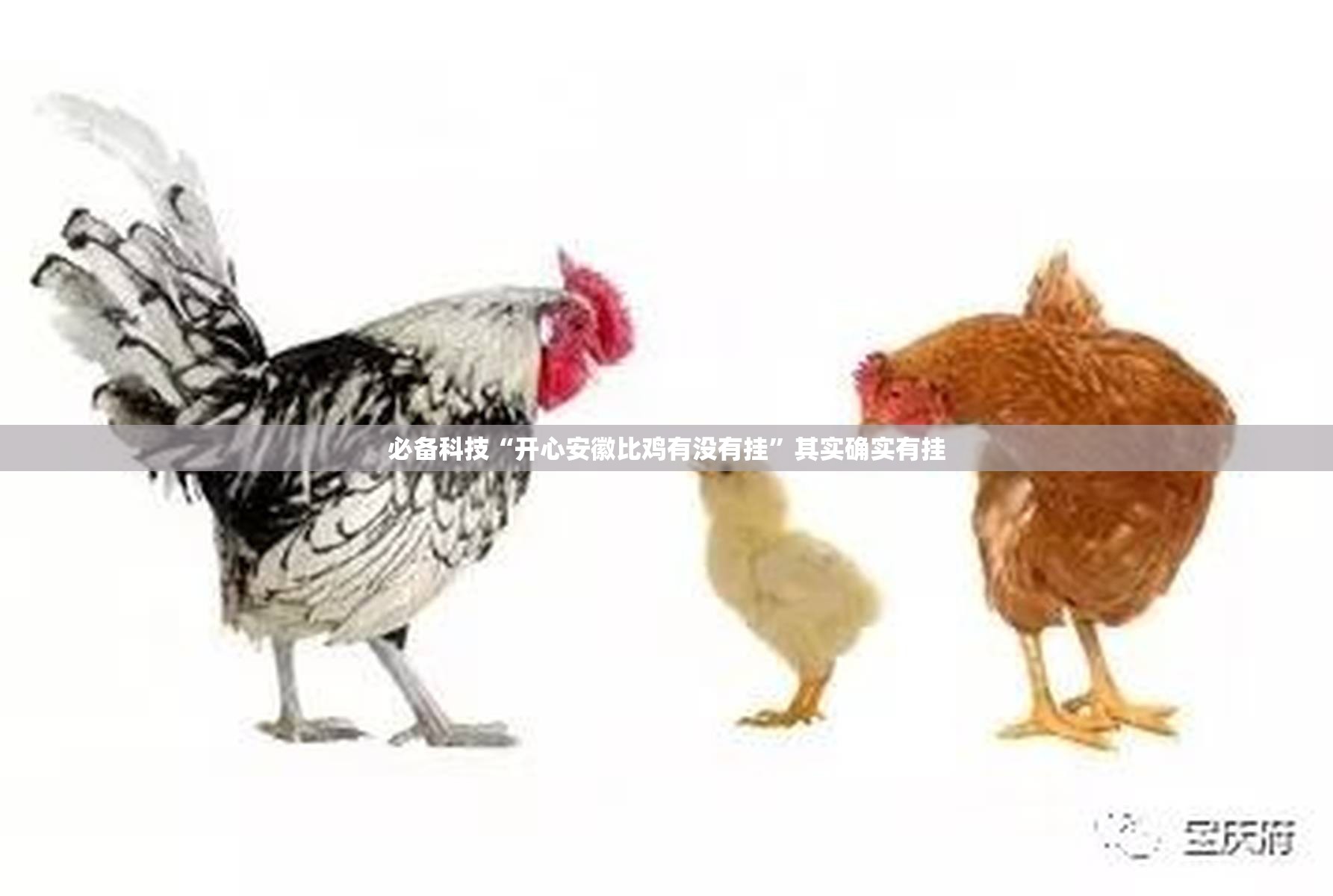 必备科技“开心安徽比鸡有没有挂”其实确实有挂