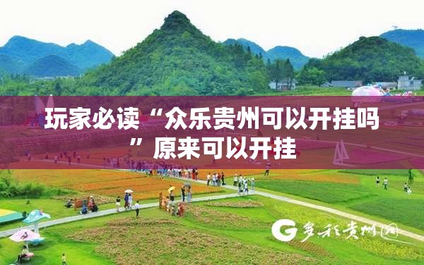 玩家必读“众乐贵州可以开挂吗”原来可以开挂