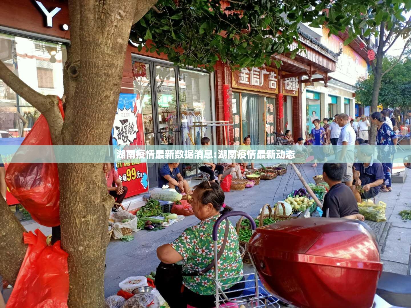 湖南疫情最新数据消息:湖南疫情最新动态