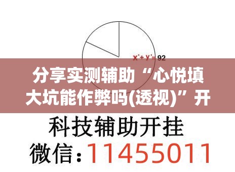 分享实测辅助“心悦填大坑能作弊吗(透视)”开挂辅助脚本+详细开挂安装教程