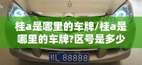 桂a是哪里的车牌/桂a是哪里的车牌?区号是多少