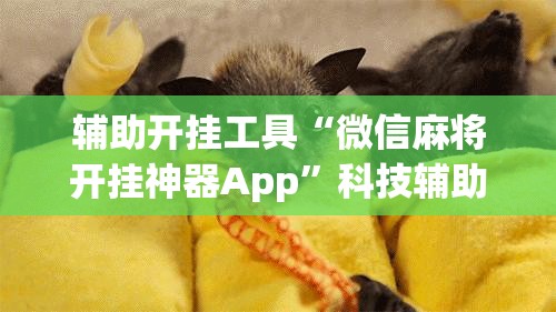 辅助开挂工具“微信麻将开挂神器App”科技辅助神器手机版