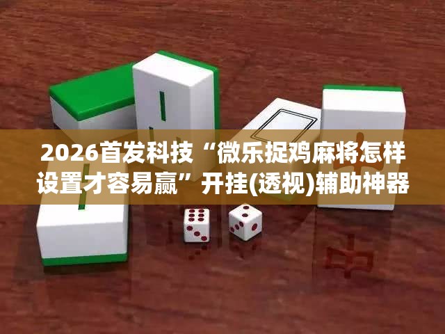 2026首发科技“微乐捉鸡麻将怎样设置才容易赢”开挂(透视)辅助神器