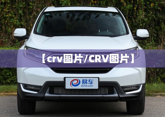 【crv图片/CRV图片】
