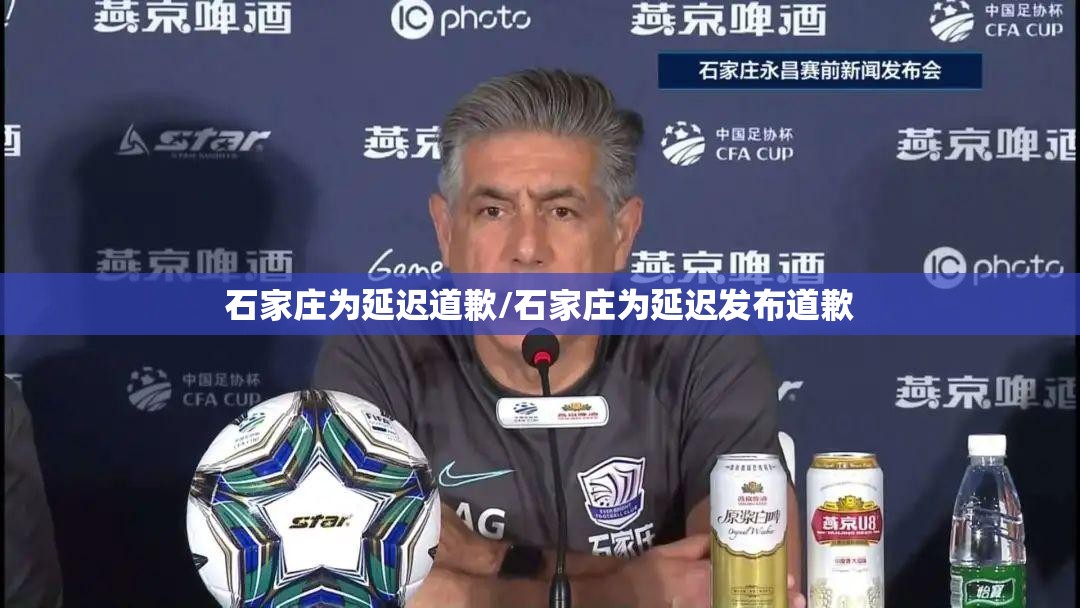 石家庄为延迟道歉/石家庄为延迟发布道歉 石家庄为延迟道歉/石家庄为延迟发布道歉