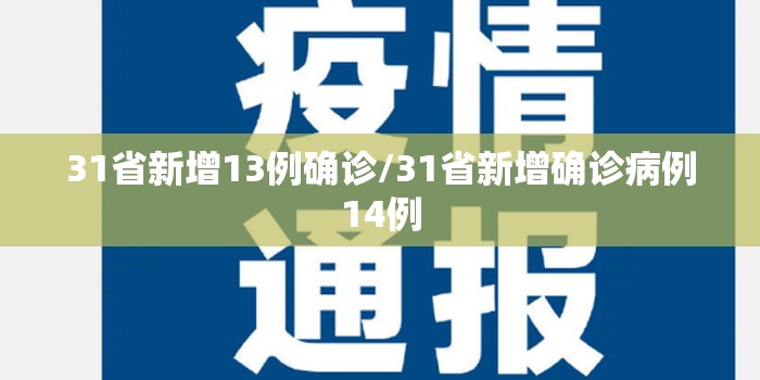 31省新增13例确诊/31省新增确诊病例14例