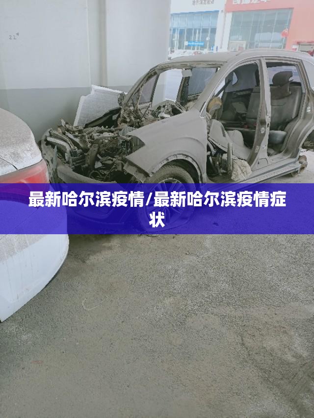 最新哈尔滨疫情/最新哈尔滨疫情症状