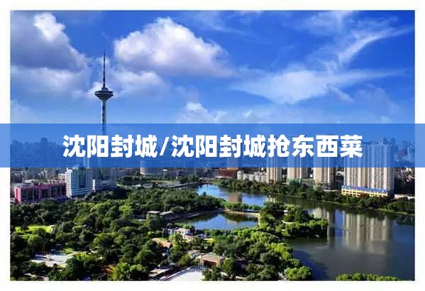 沈阳封城/沈阳封城抢东西菜 沈阳封城/沈阳封城抢东西菜