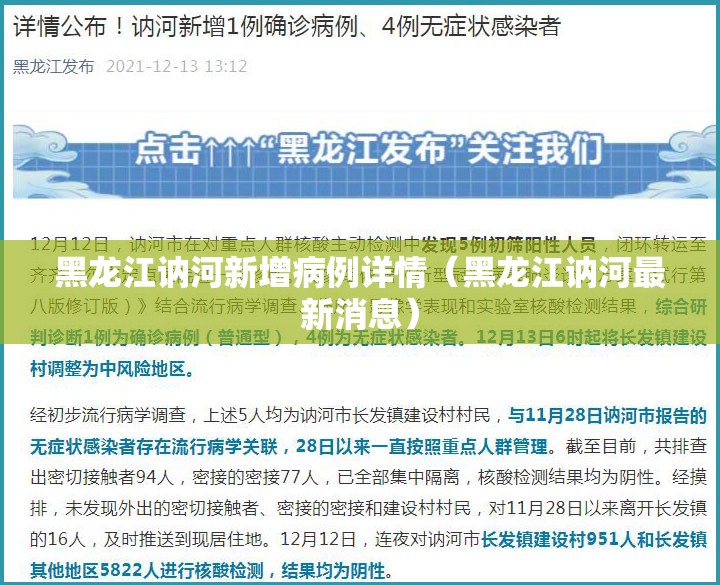 黑龙江讷河新增病例详情（黑龙江讷河最新消息）