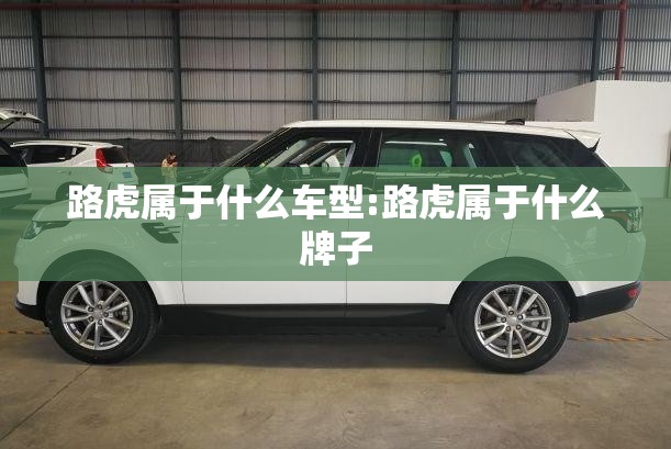 路虎属于什么车型:路虎属于什么牌子