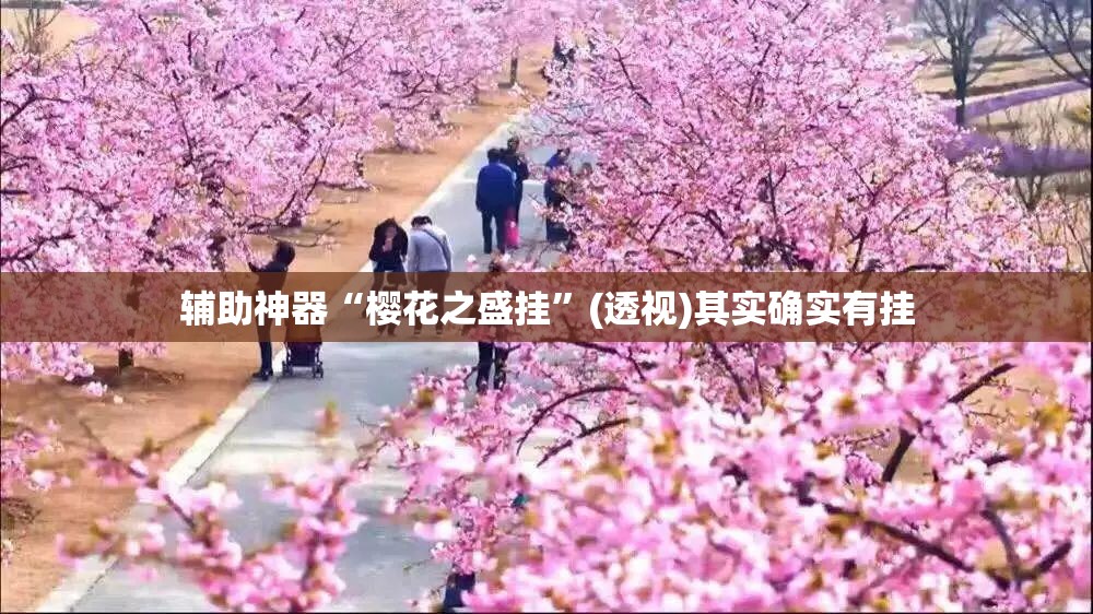 辅助神器“樱花之盛挂	”(透视)其实确实有挂