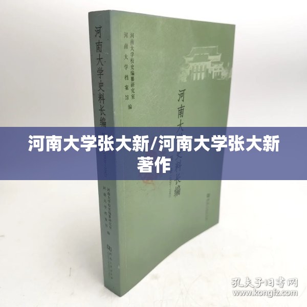 河南大学张大新/河南大学张大新著作