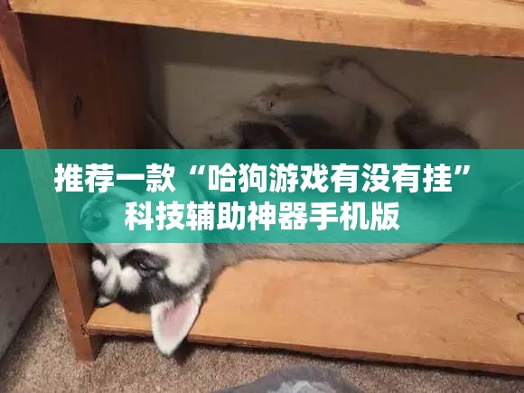 推荐一款“哈狗游戏有没有挂”科技辅助神器手机版