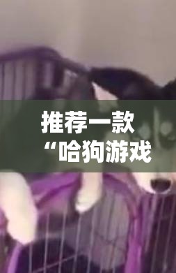 推荐一款“哈狗游戏有没有挂	”科技辅助神器手机版