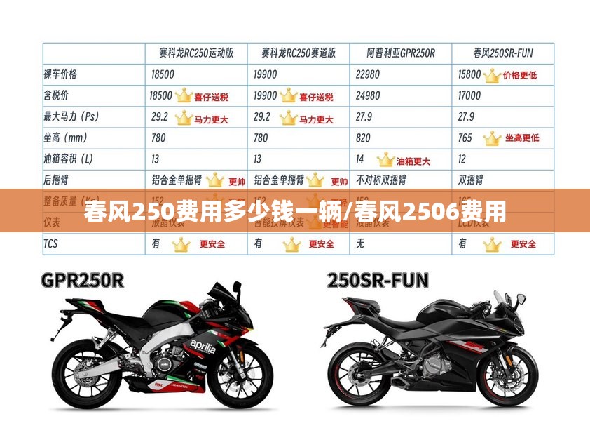 春风250费用多少钱一辆/春风2506费用