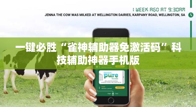 一键必胜“雀神辅助器免激活码”科技辅助神器手机版
