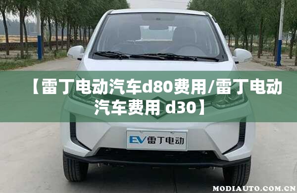 【雷丁电动汽车d80费用/雷丁电动汽车费用 d30】