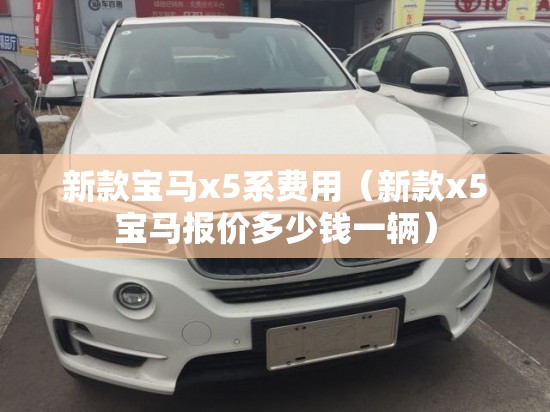 新款宝马x5系费用（新款x5宝马报价多少钱一辆）