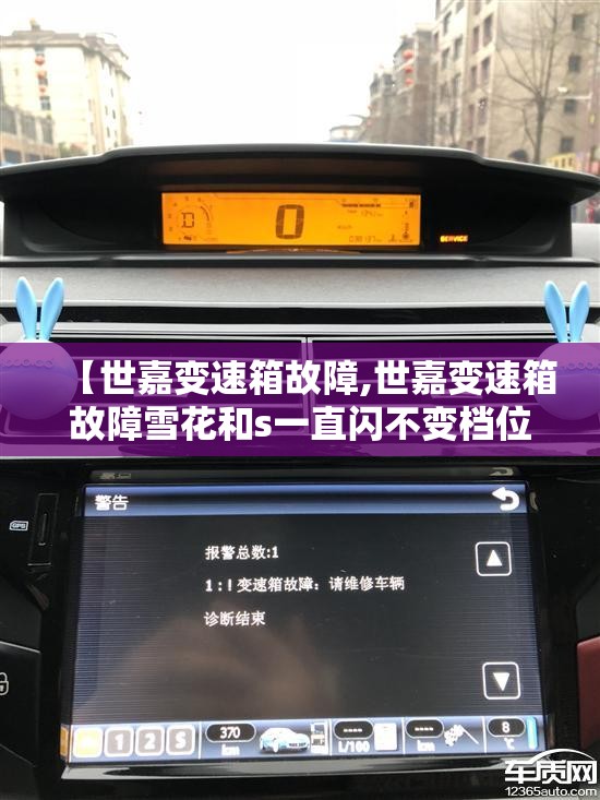 【世嘉变速箱故障,世嘉变速箱故障雪花和s一直闪不变档位可以开吗】