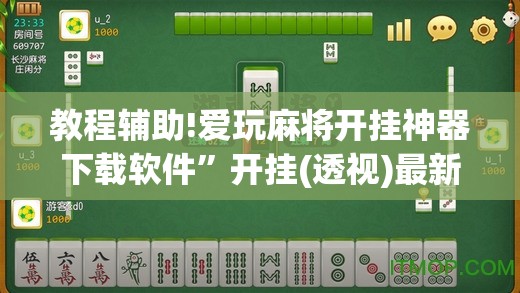 教程辅助!爱玩麻将开挂神器下载软件”开挂(透视)最新辅助详细