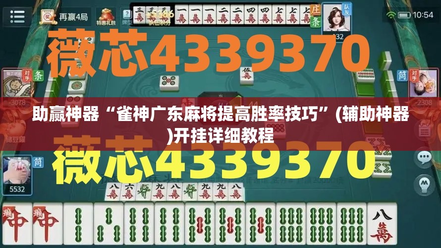 助赢神器“雀神广东麻将提高胜率技巧	”(辅助神器)开挂详细教程