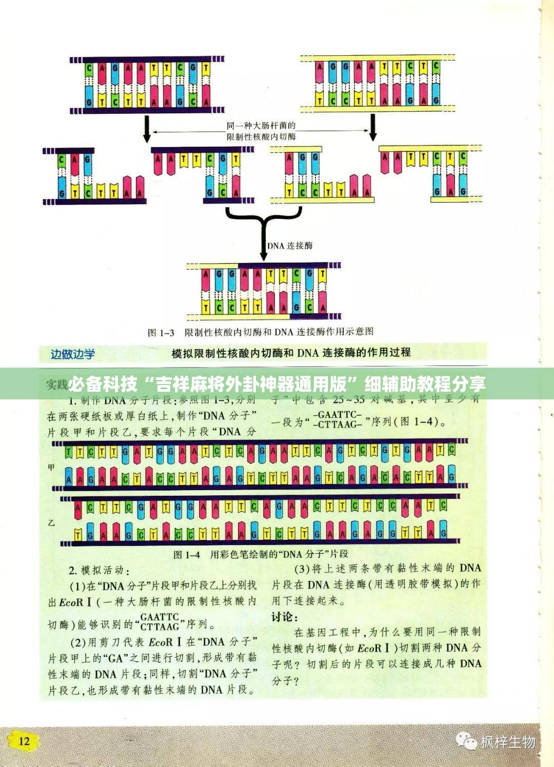 必备科技“吉祥麻将外卦神器通用版”细辅助教程分享