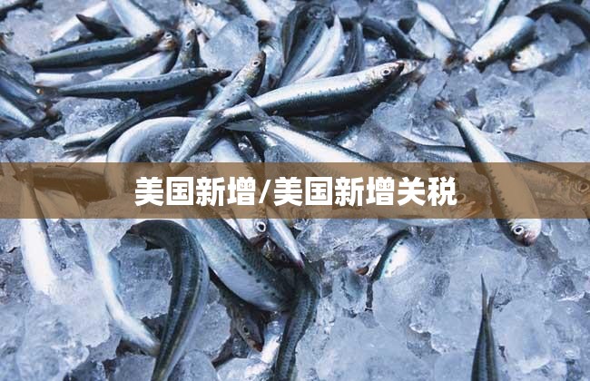 美国新增/美国新增关税 美国新增/美国新增关税