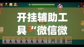 开挂辅助工具“微信微乐麻将免费开挂手机版(透视)”开挂辅助脚本+详细开挂安装教程