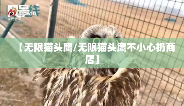 【无限猫头鹰/无限猫头鹰不小心扔商店】