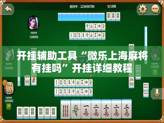 开挂辅助工具“微乐上海麻将有挂吗”开挂详细教程