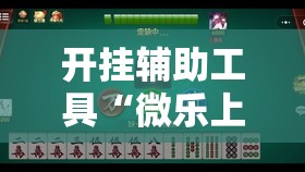 开挂辅助工具“微乐上海麻将有挂吗”开挂详细教程
