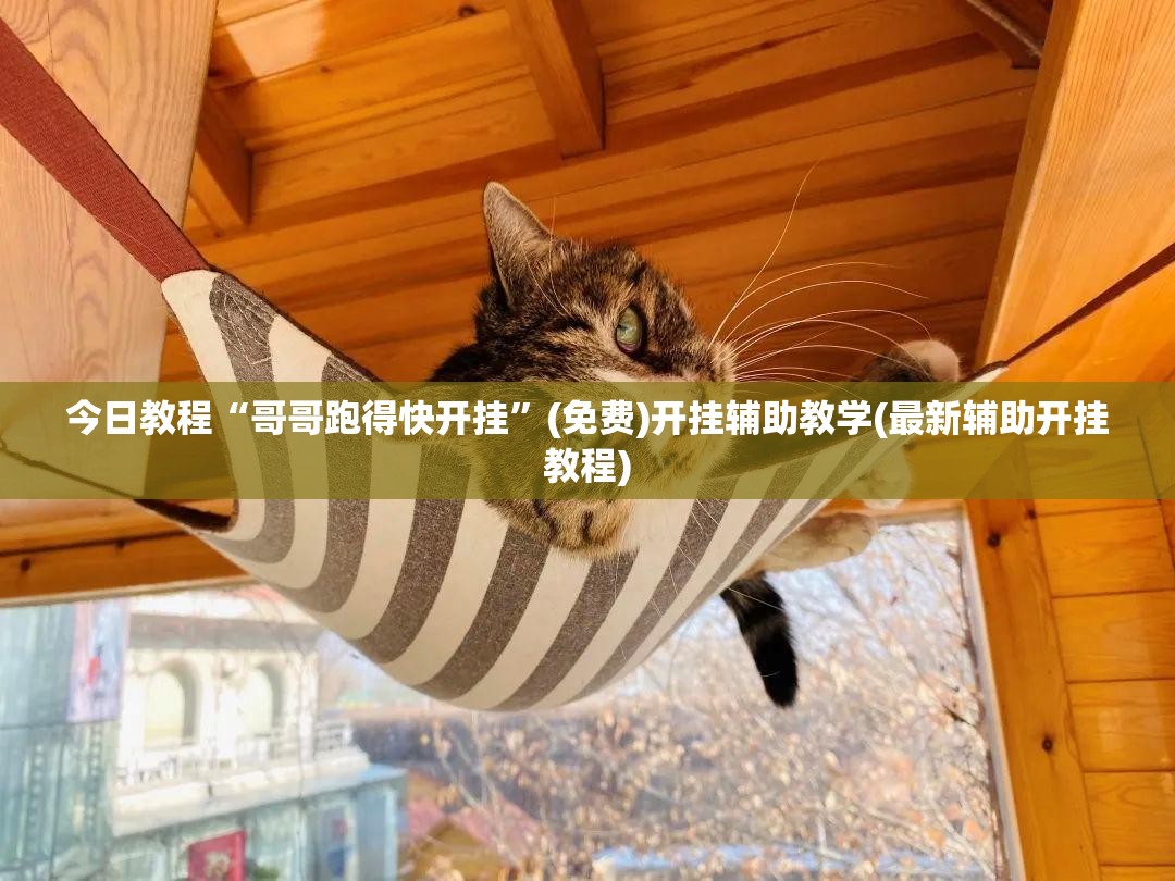 今日教程“哥哥跑得快开挂	”(免费)开挂辅助教学(最新辅助开挂教程)