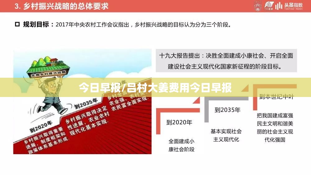 今日早报/吕村大姜费用今日早报